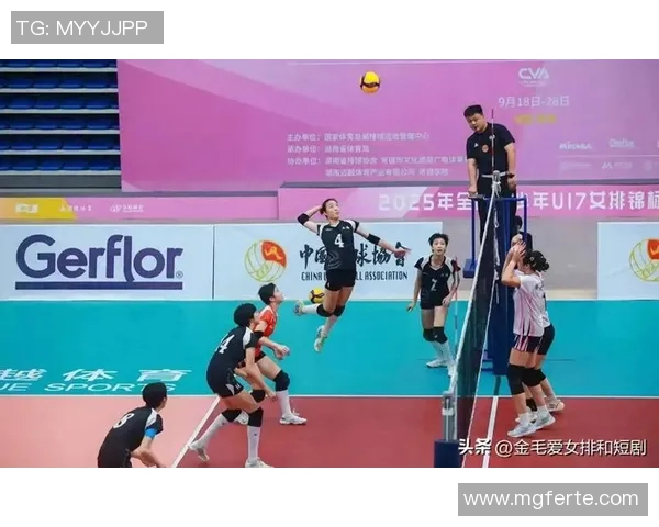 上海排球队的力量解析与未来发展展望