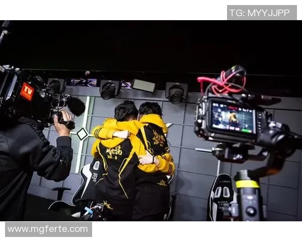 专访杨磊揭秘和平精英成功背后的策略与创新之路