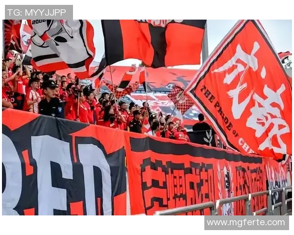 成都飞盘队实力引发热议球迷与专家对力量的不同看法