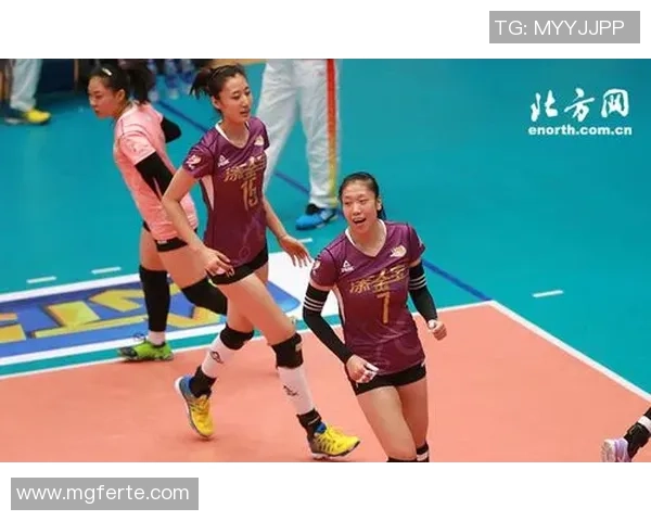 武汉排球队总决赛精彩回顾与节奏表现分析