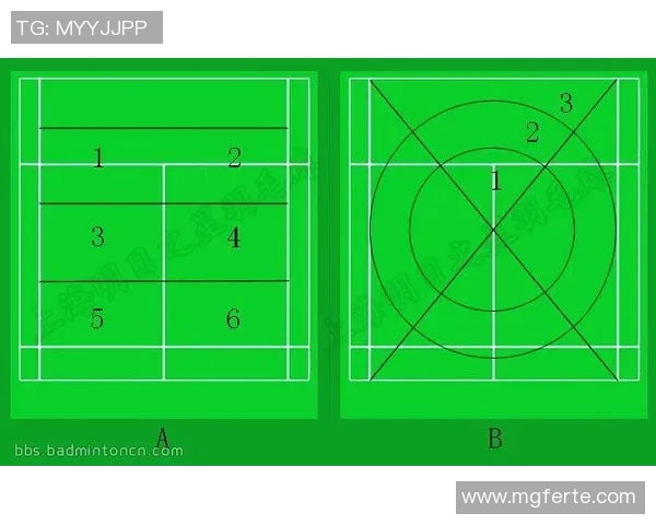 武汉羽毛球队战术解析:灵活转换体系的应用与实践探讨 武汉羽毛球队战术解析:灵活转换体系的应用与实践探讨