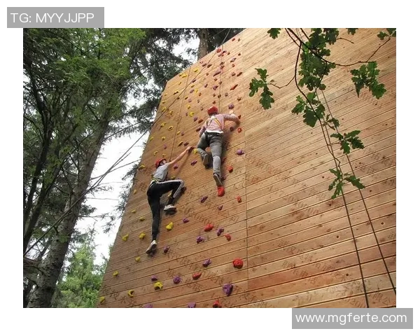 攀岩热潮下的北京攀岩队耐力训练新变革探讨与展望